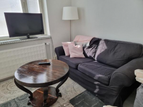 Studio Porin Oksi, home away home in Pori city center, free parking